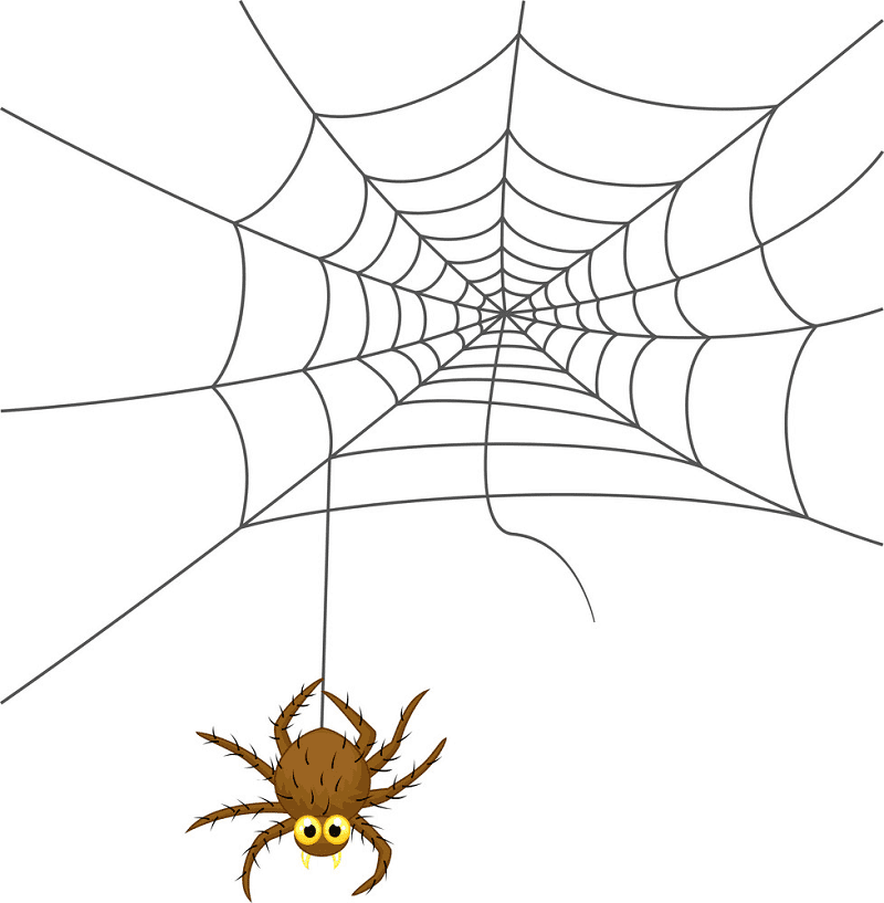Spider Web clipart png 3