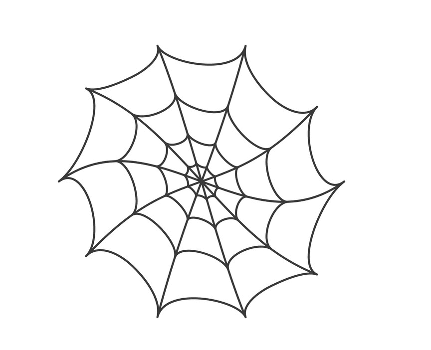 Spider Web clipart png 4