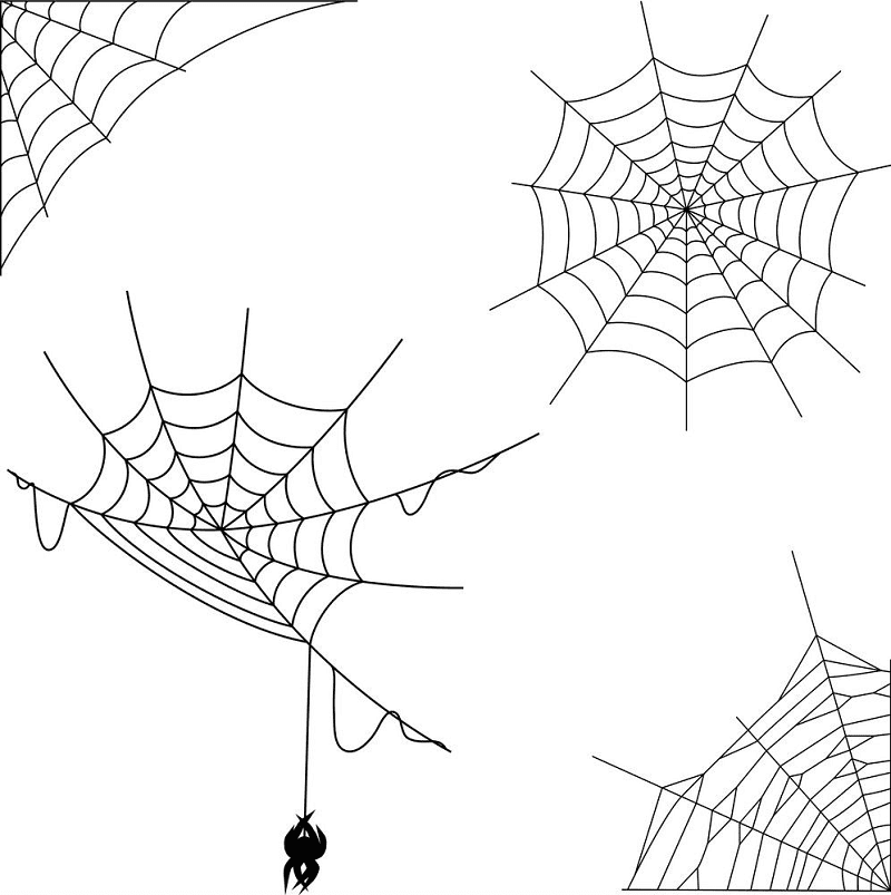 Spider Web clipart png 5