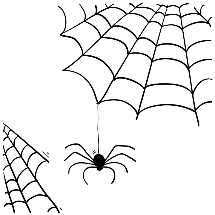 Spider Web clipart png 7