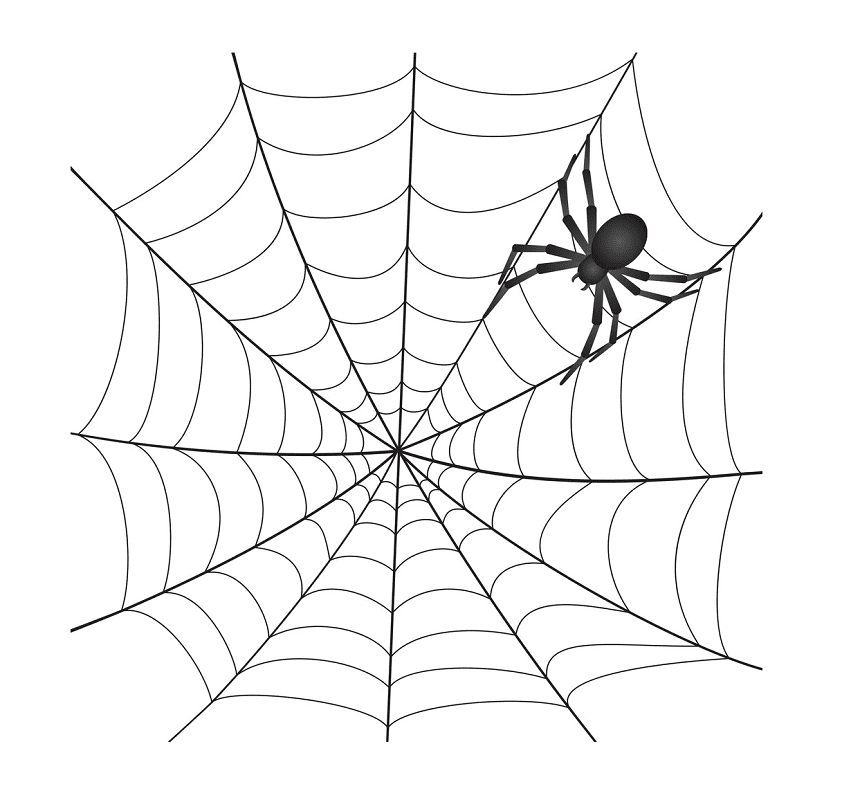 Spider Web clipart png 9