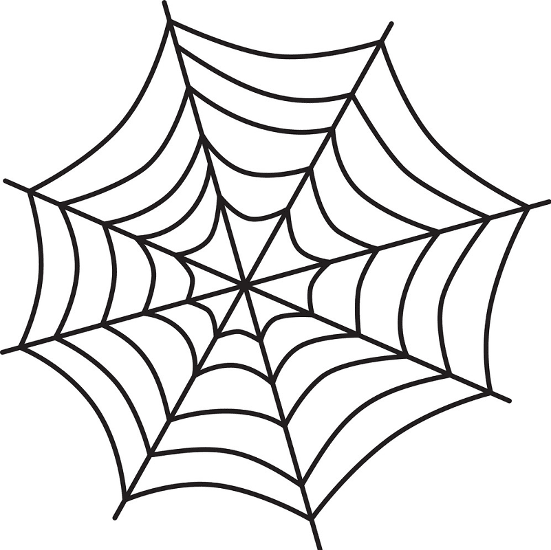 Spider Web clipart png free