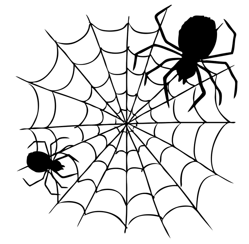 Spider Web clipart png image