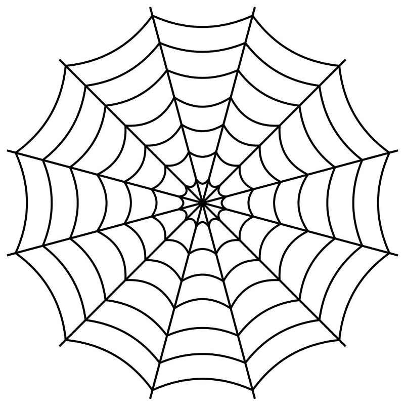 Spider Web clipart png