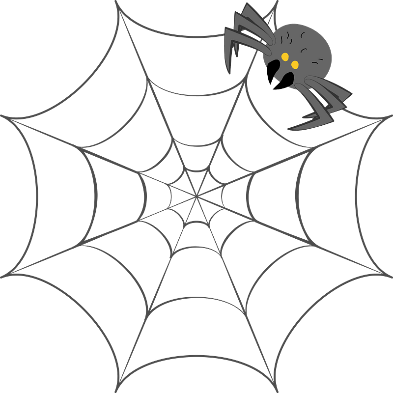 Spider Web clipart transparent 1