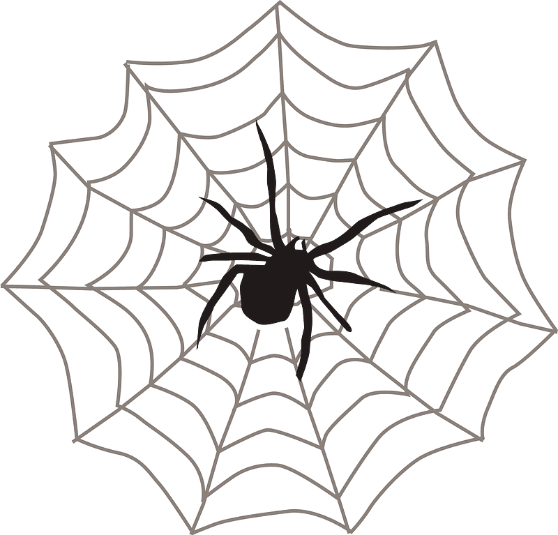 Spider Web clipart transparent 13