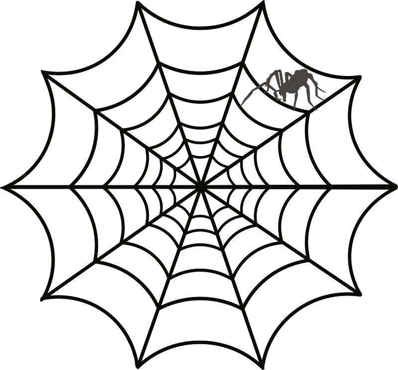 Spider Web clipart transparent 15