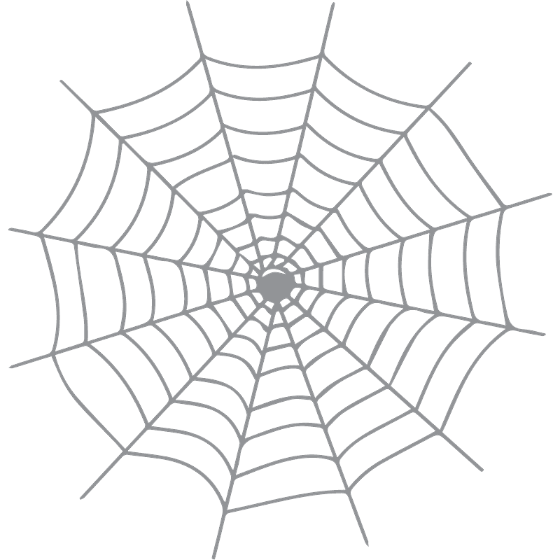 Spider Web clipart transparent 5