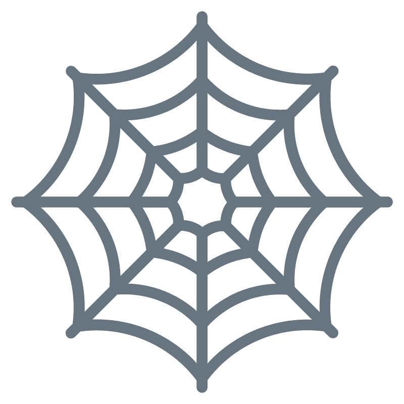 Spider Web clipart transparent 6