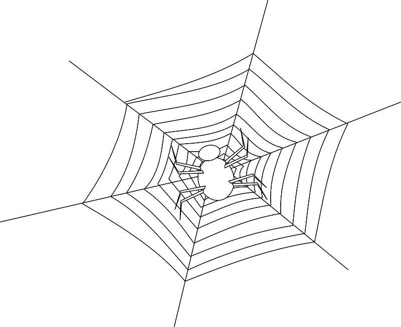 Spider Web clipart transparent background 10