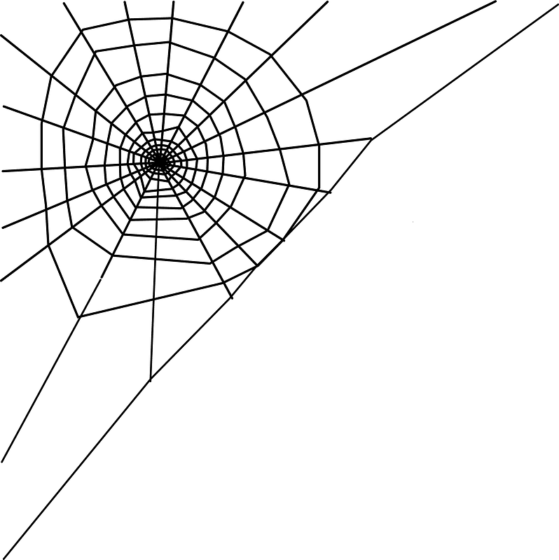 Spider Web clipart transparent background 11