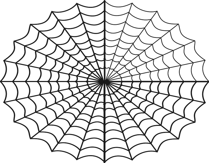 Spider Web clipart transparent background 3