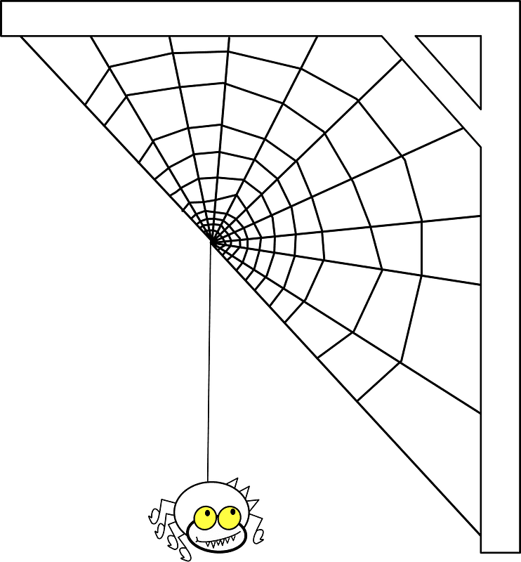 Spider Web clipart transparent background 4