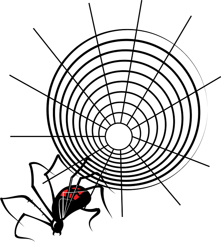 Spider Web clipart transparent background 5