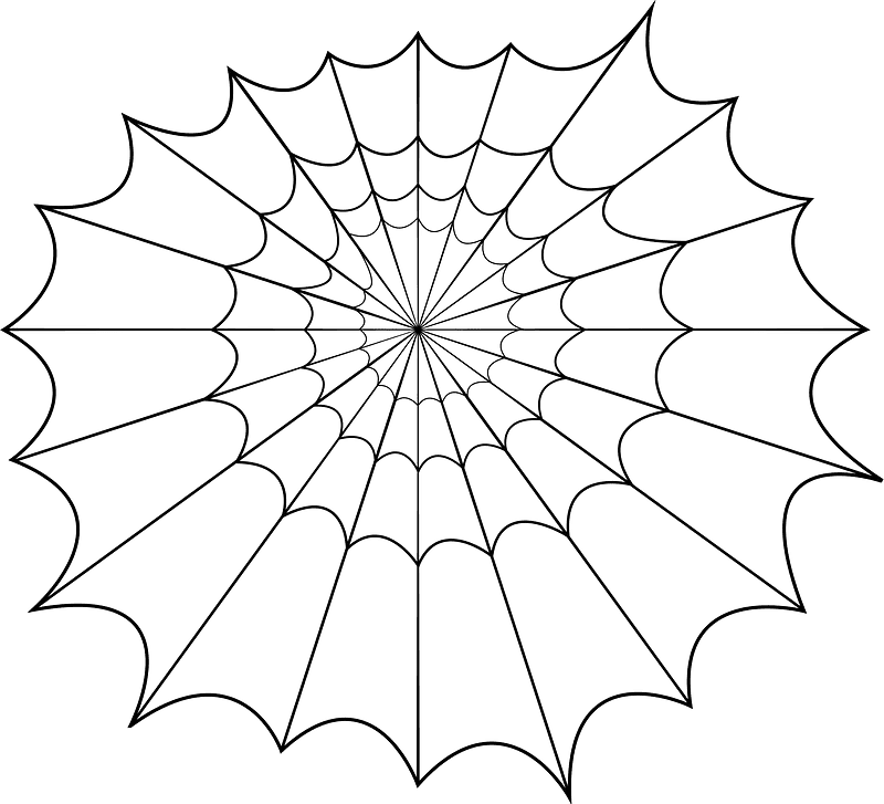 Spider Web clipart transparent background 7