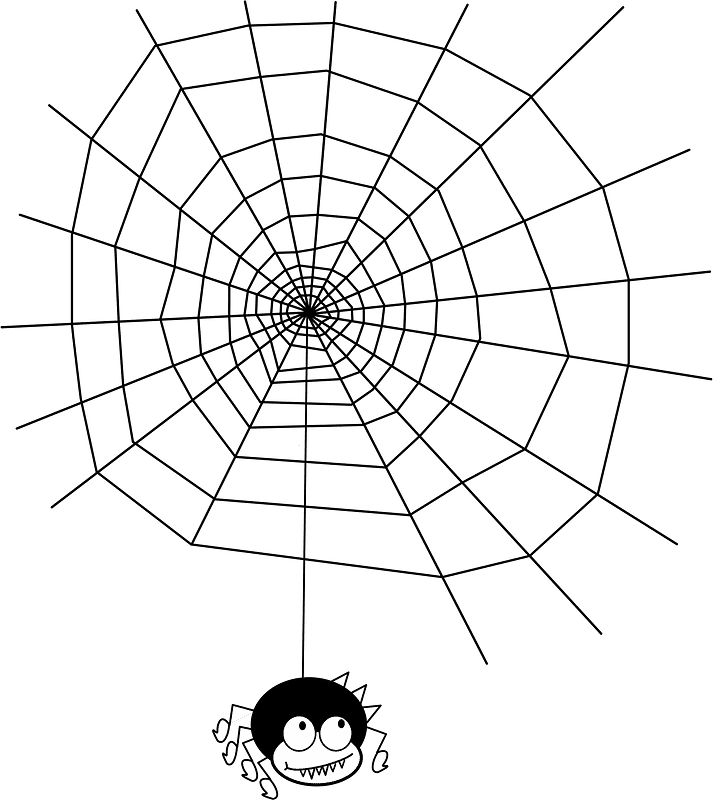Spider Web clipart transparent background 8