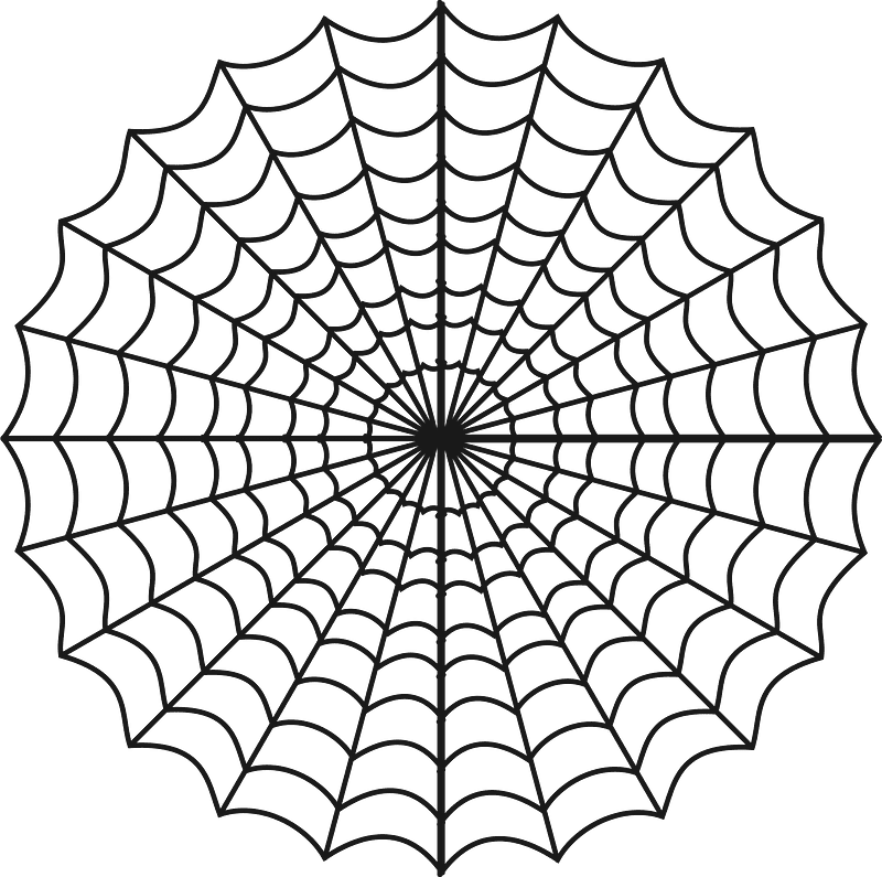 Spider Web clipart transparent background 9