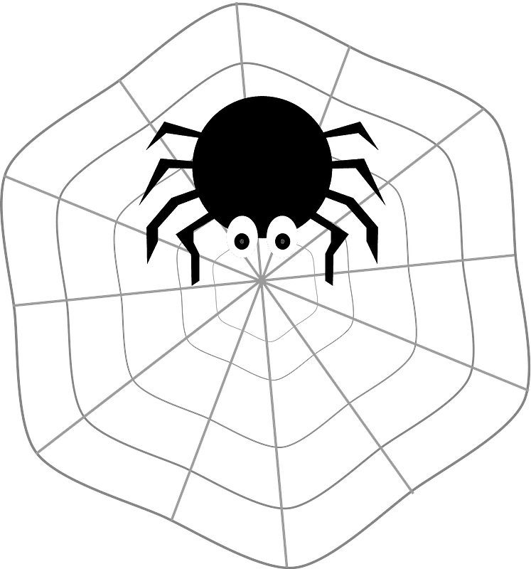 Spider Web clipart transparent background