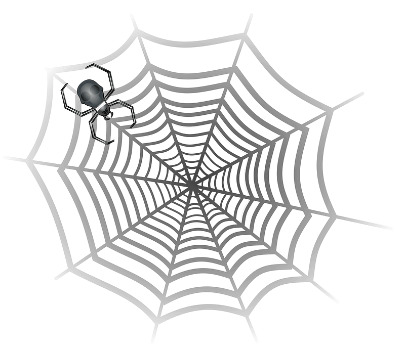 Spider Web clipart transparent download
