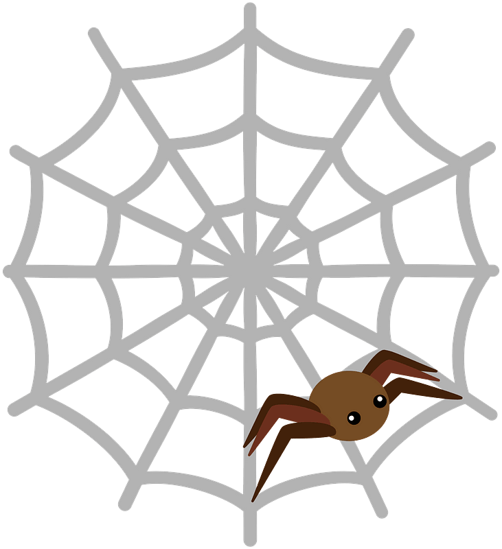 Spider Web clipart transparent picture