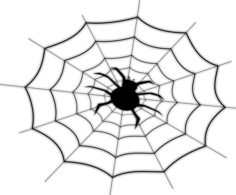Spider Web clipart transparent