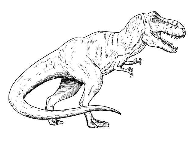 T-Rex Clipart Black and White png
