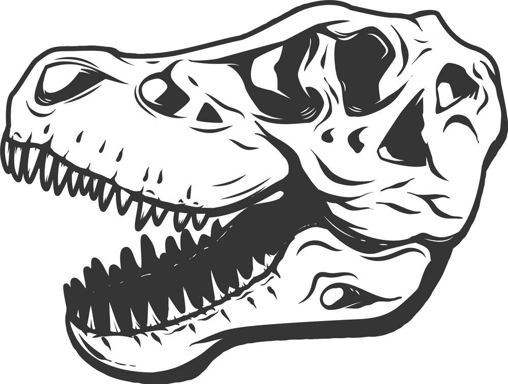 T-Rex Skull clipart free