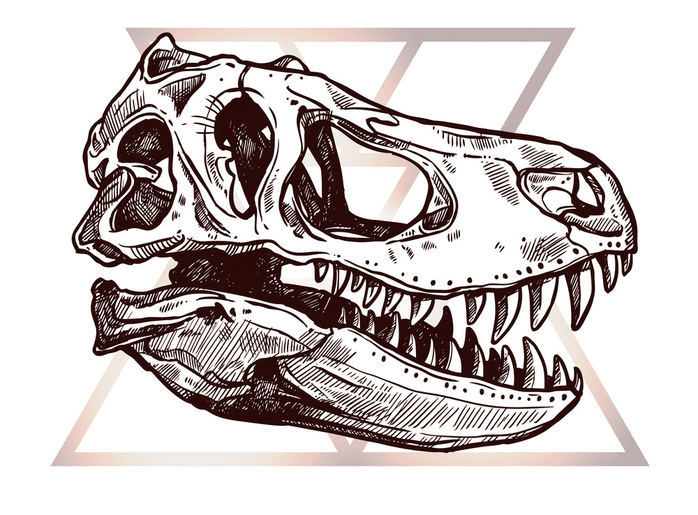 T-Rex Skull clipart image