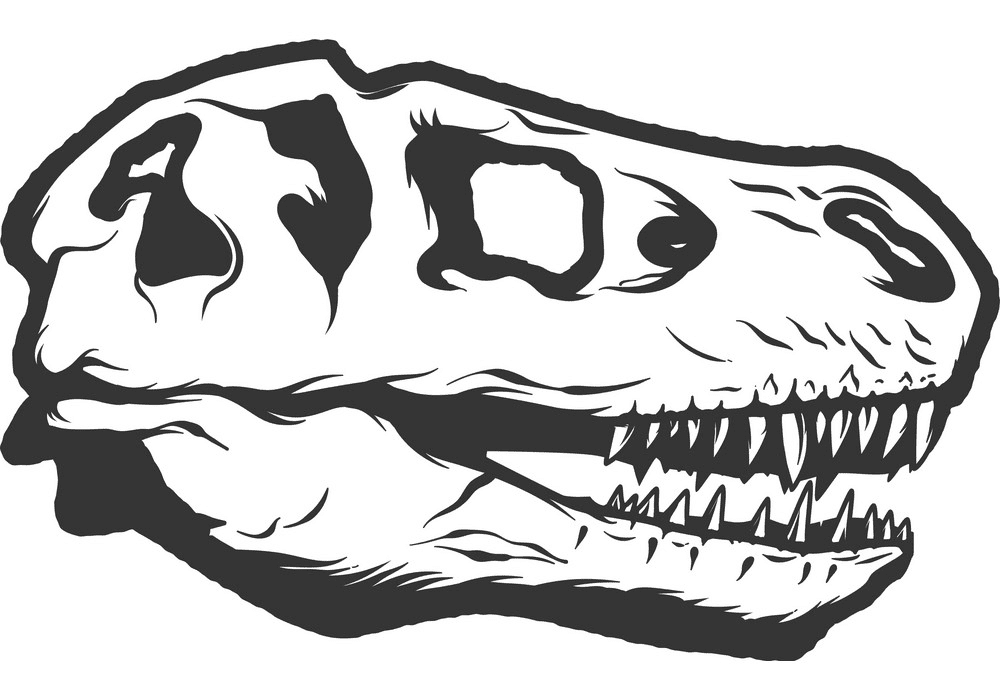 T-Rex Skull clipart images