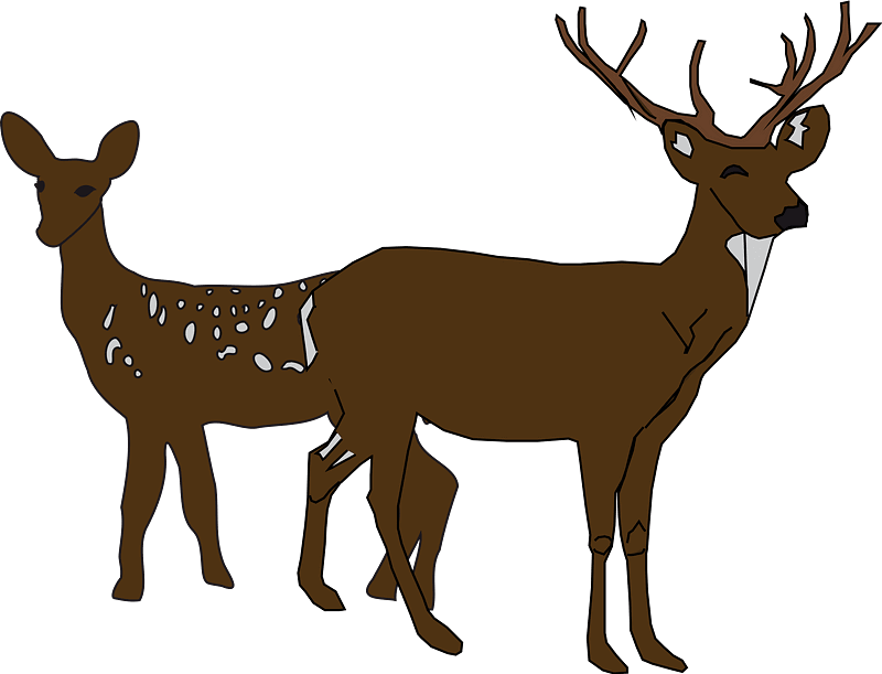 Two Deers clipart transparent background