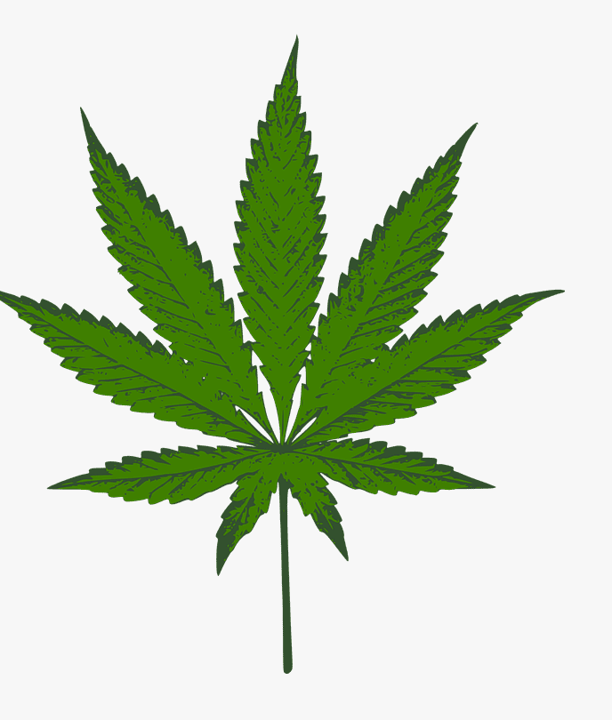 Weed clipart 3