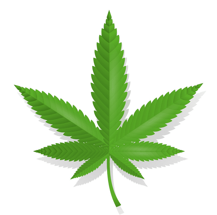 Weed clipart png image