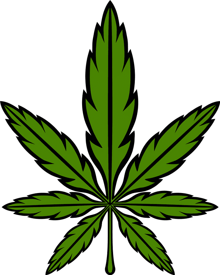 Weed clipart png images