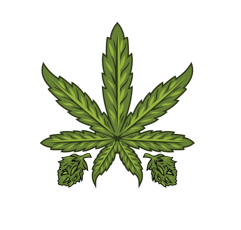 Weed clipart png