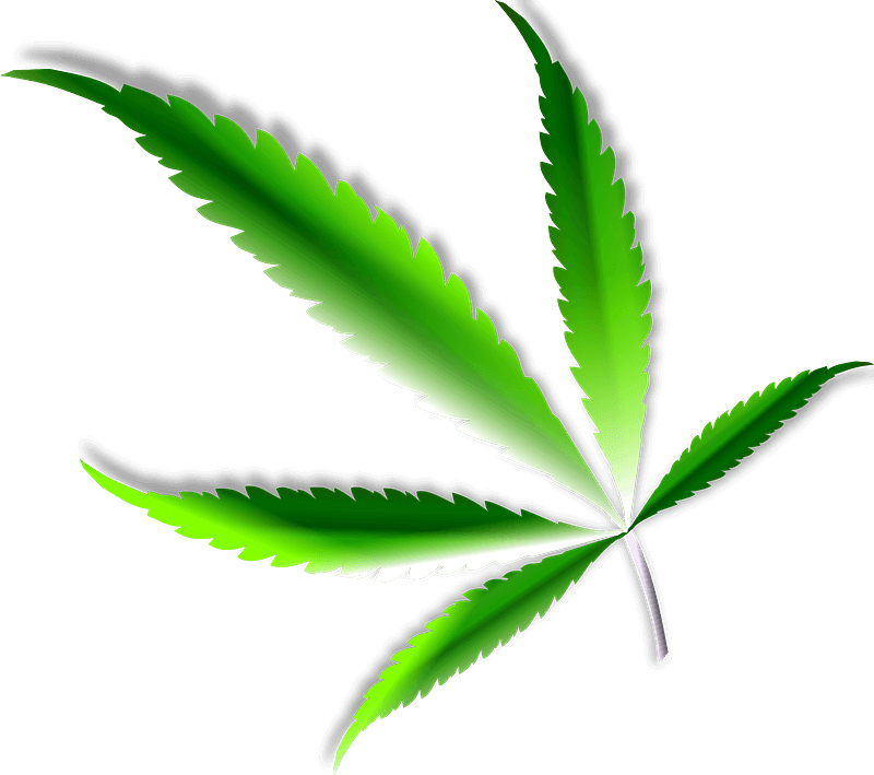 Weed clipart transparent 1