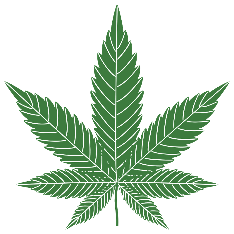 Weed clipart transparent 11