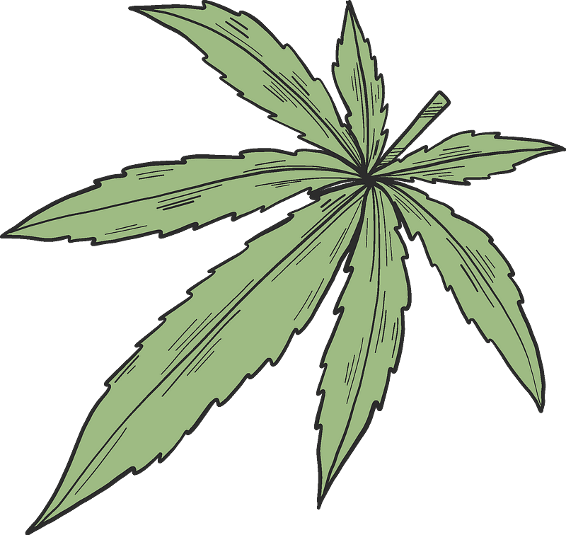 Weed clipart transparent 12