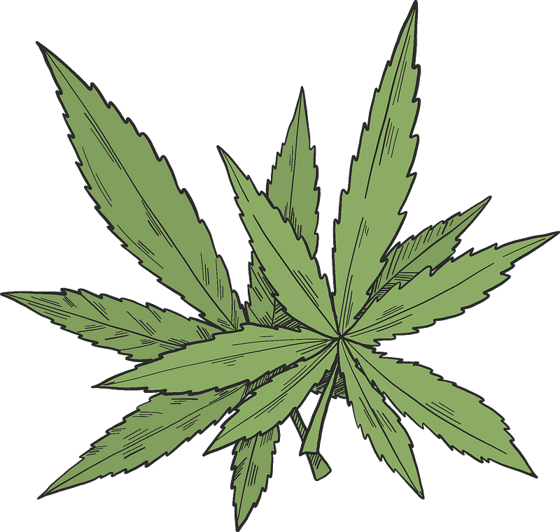 Weed clipart transparent 13