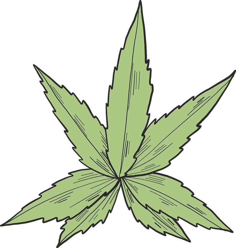 Weed clipart transparent 14