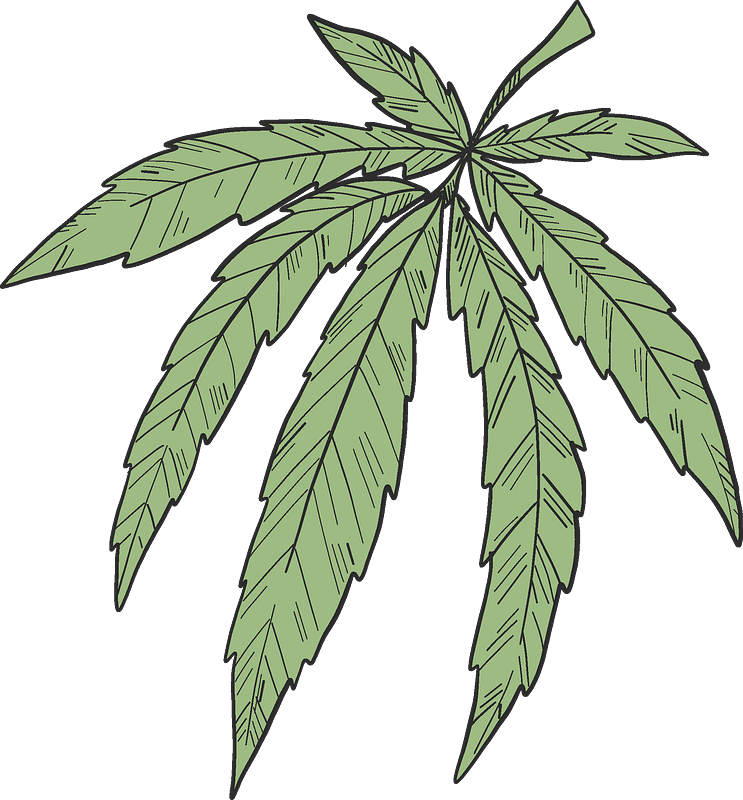 Weed clipart transparent 15