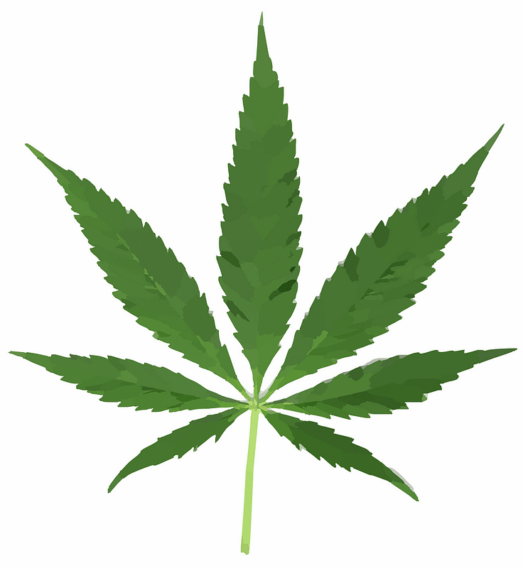 Weed clipart transparent 4