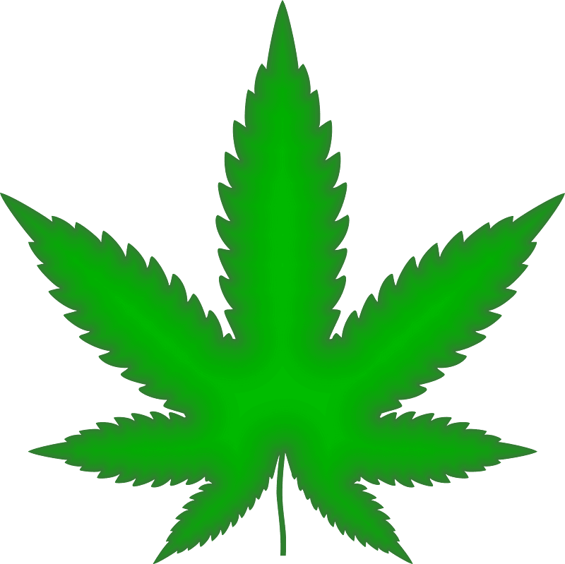 Weed clipart transparent 5