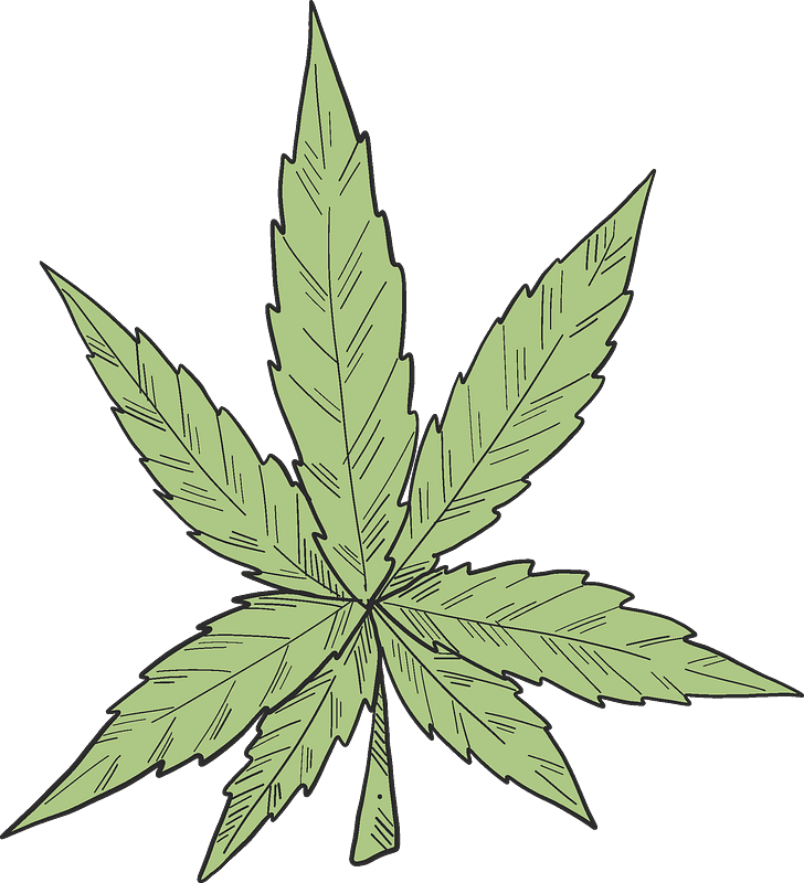 Weed clipart transparent 6