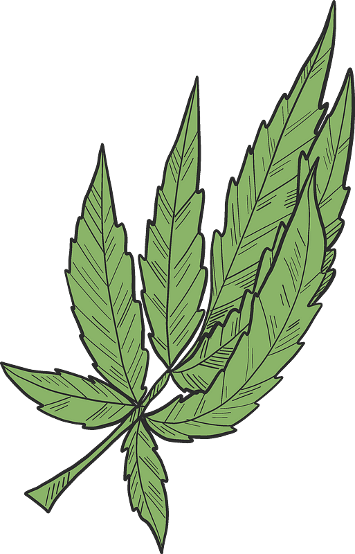 Weed clipart transparent 7