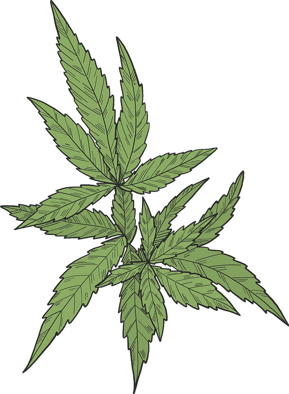Weed clipart transparent 8