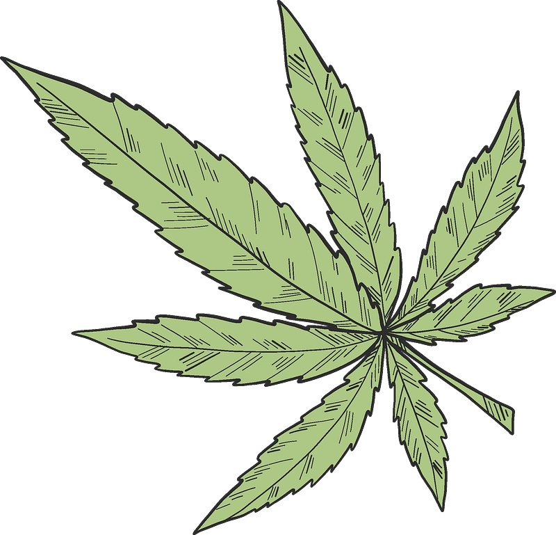 Weed clipart transparent 9