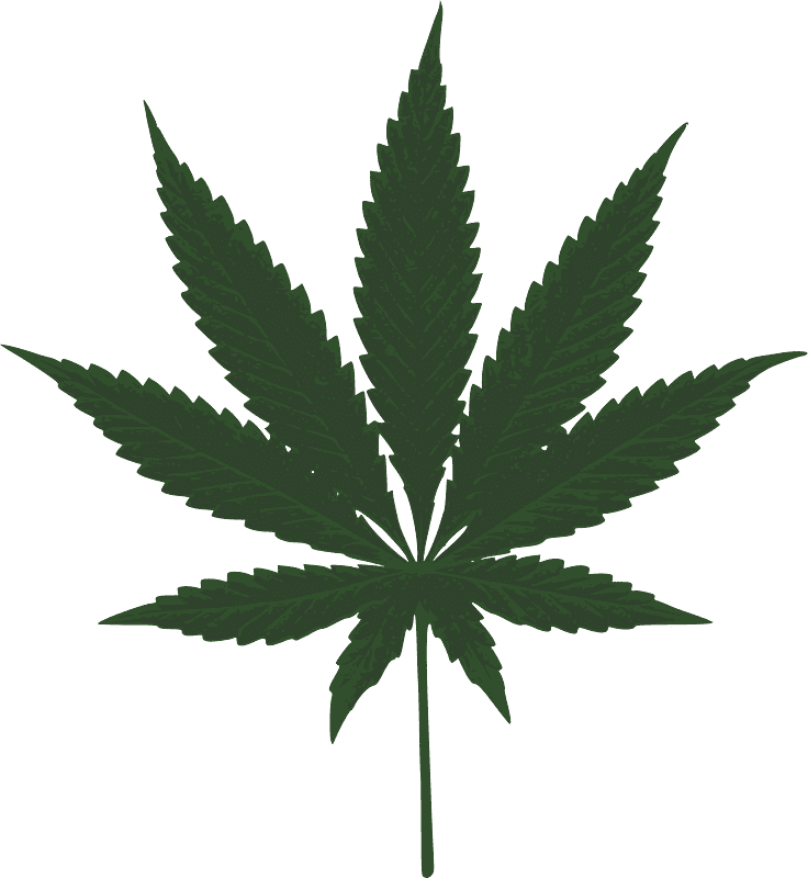 Weed clipart transparent background 10