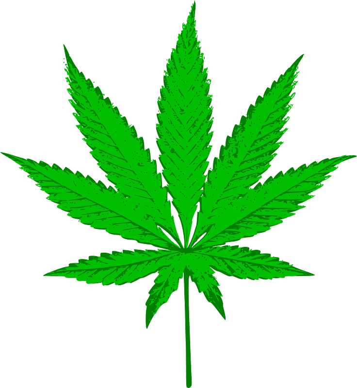Weed clipart transparent background 2