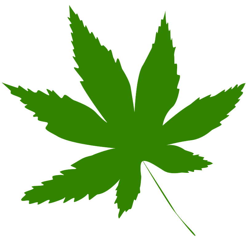 Weed clipart transparent background 3