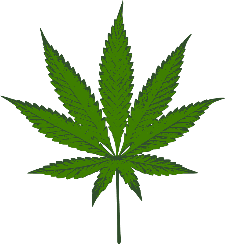 Weed clipart transparent background 4